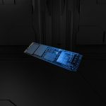 Kingston Technology 4T FURY RENEGADE G5 M.2 2280 NVMe SSD