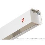 Avtek Business Electric Screen 300P